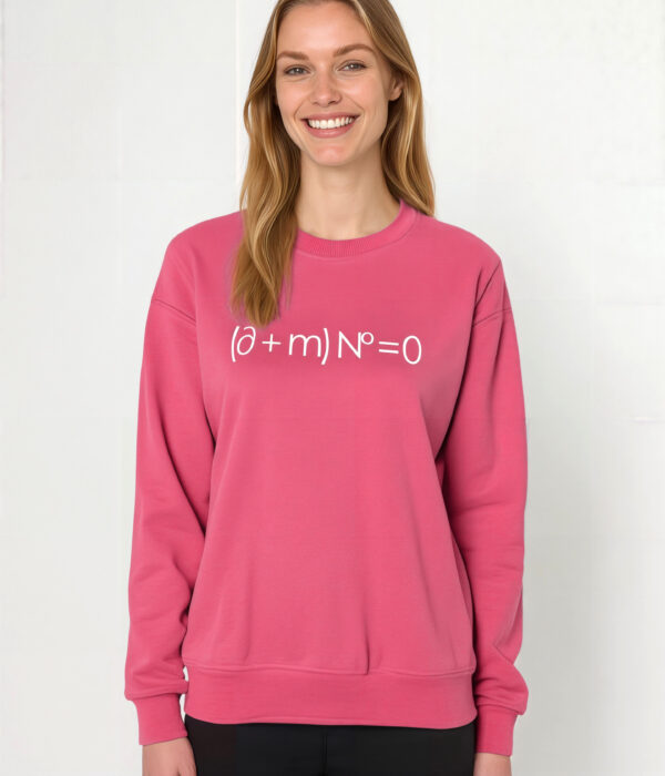 Bluza z Równaniem miłości Paula Diraca